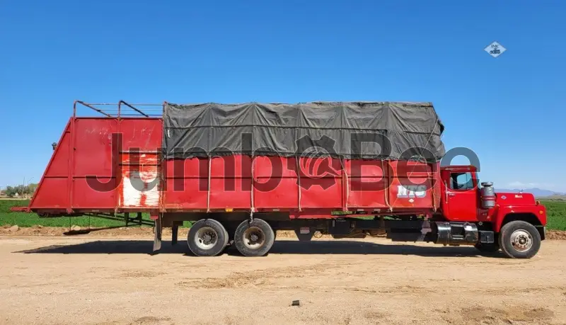 https://prod-jumbo.nyc3.cdn.digitaloceanspaces.com/product/21943/06a597a2845df73e56d1566eda148a20_medium.webp